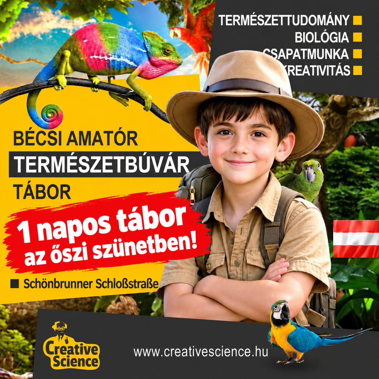 Bécsi természet és fotós tábor ősz