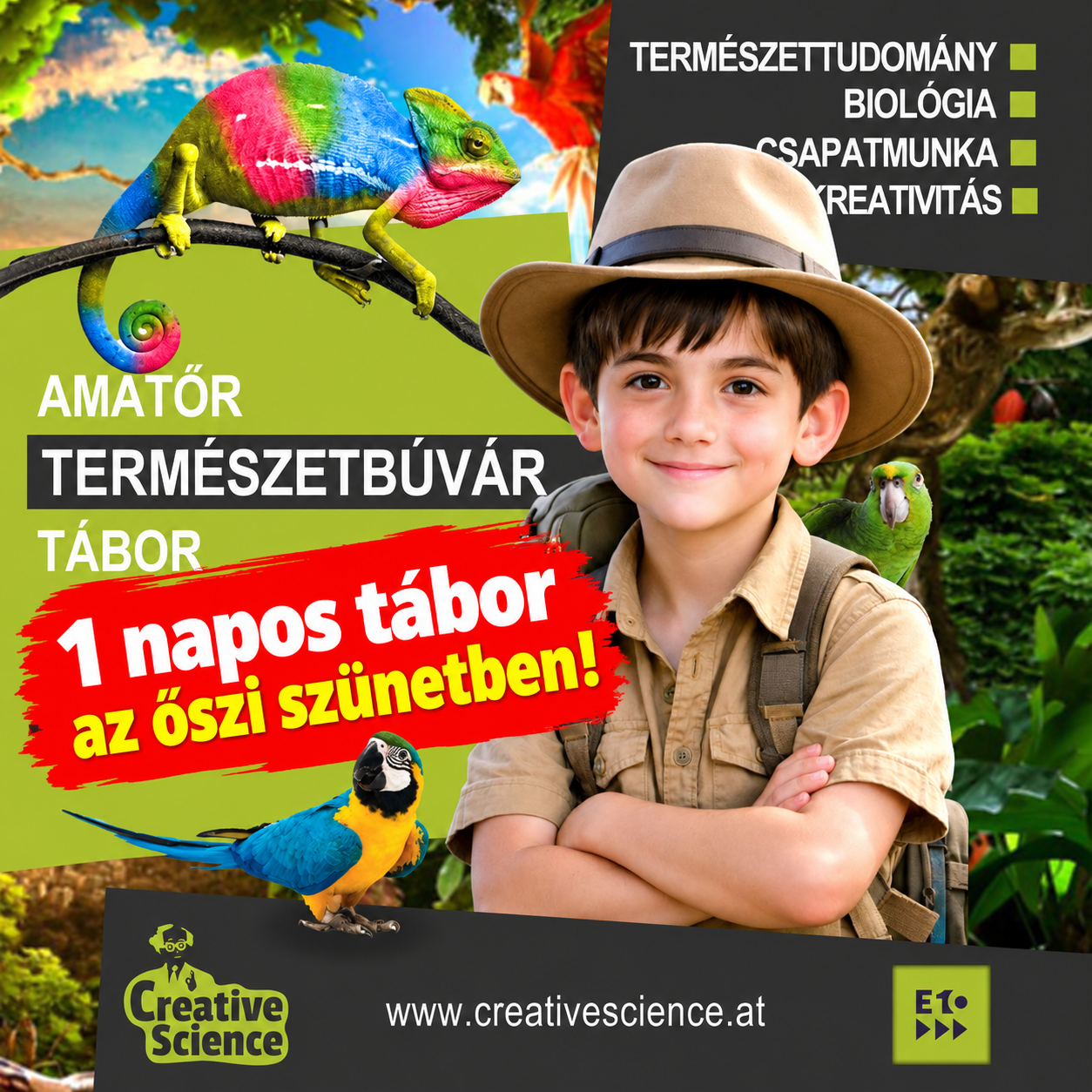 őszi amatőr